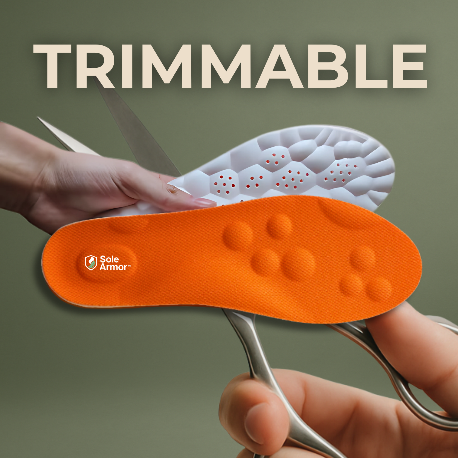 SoleArmor Insoles